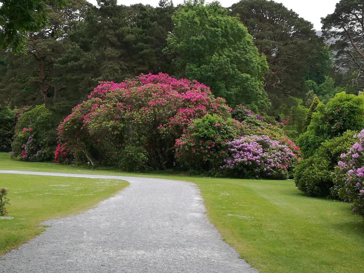 Hotel Watersedge Seaviews Kenmare Exterior foto